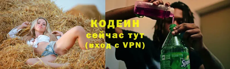 как найти закладки  Краснослободск  Кодеиновый сироп Lean Purple Drank 